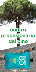 Tratamiento contra procesionaria del pino ynject